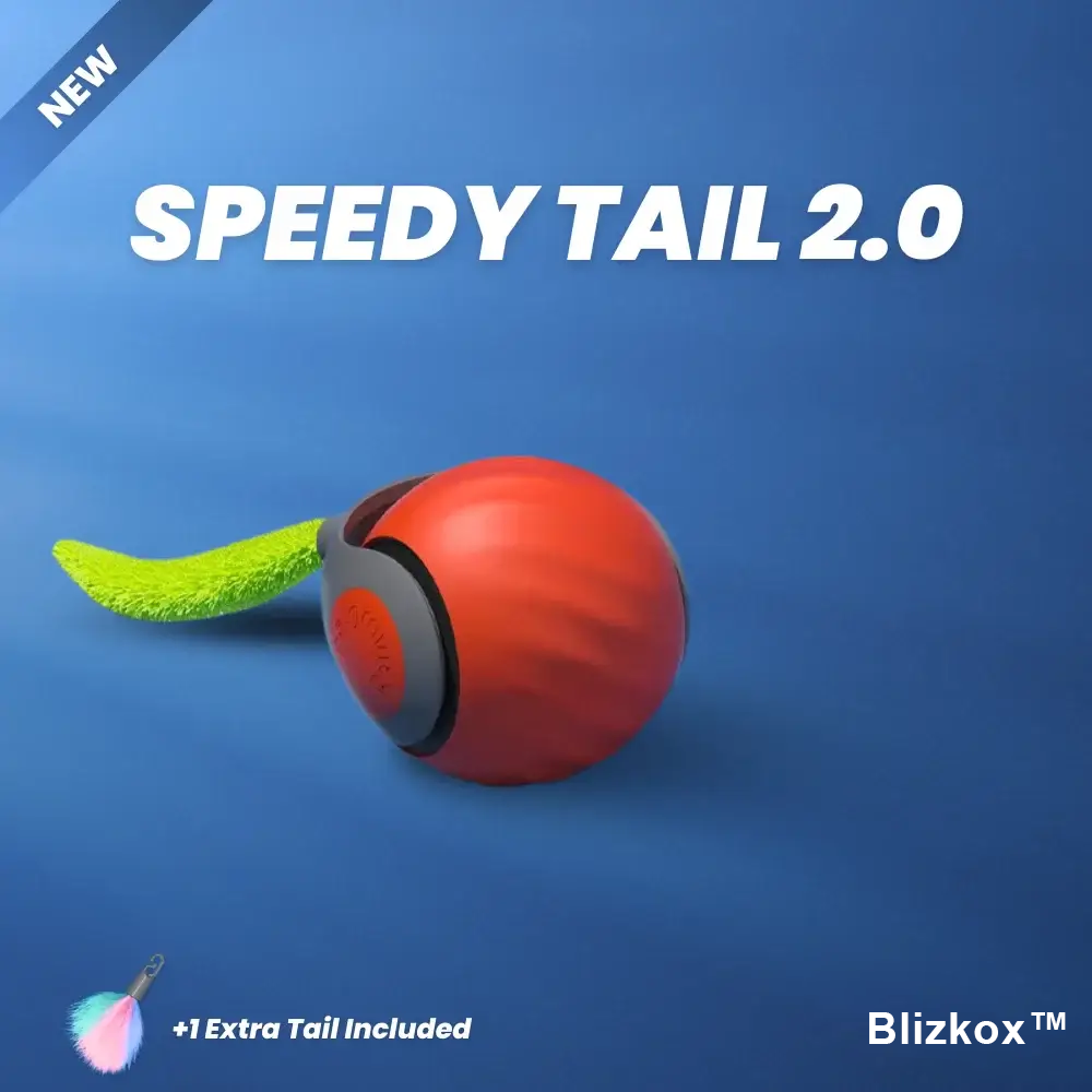 Bored Cat? Not Anymore. Blizkox™ Changes Everything.