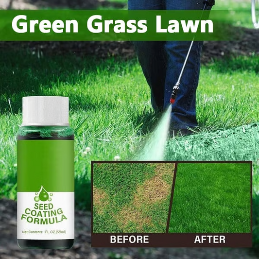🌱Hydro Seeding Lawn Solution