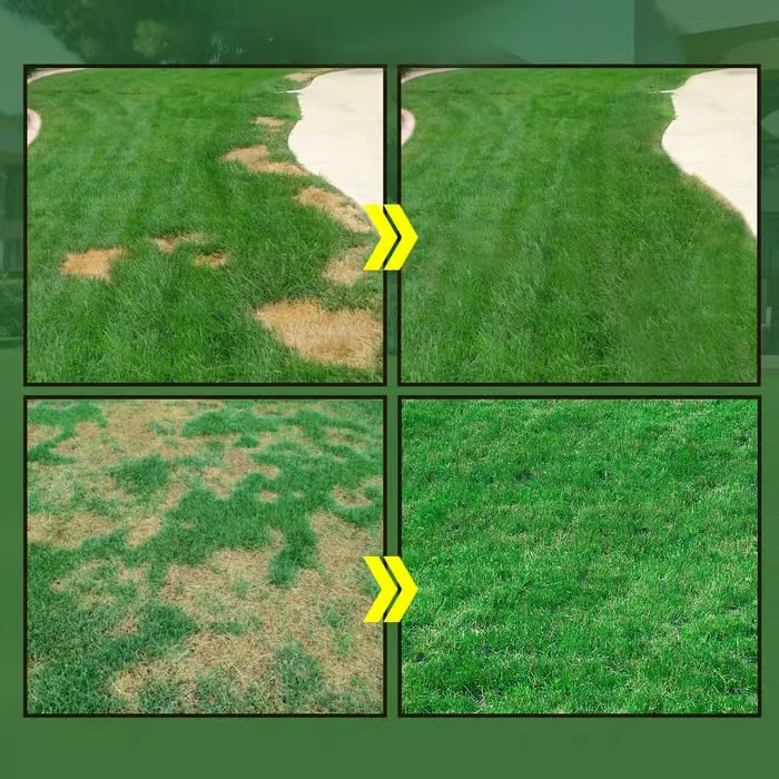 🌱Hydro Seeding Lawn Solution