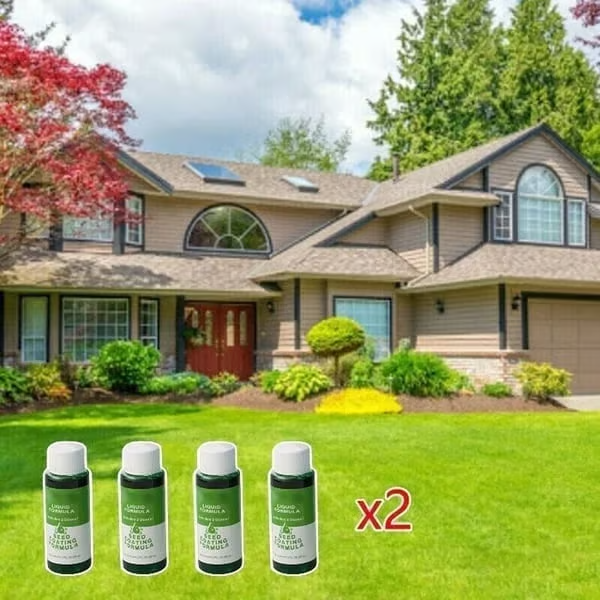🌱Hydro Seeding Lawn Solution