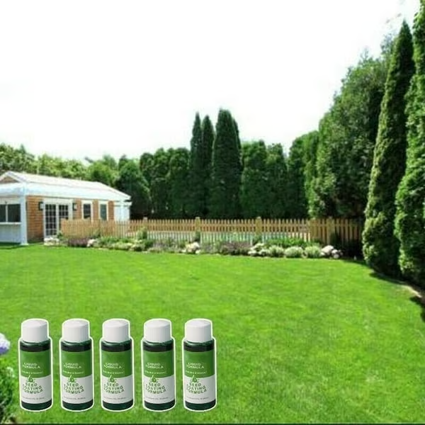 🌱Hydro Seeding Lawn Solution