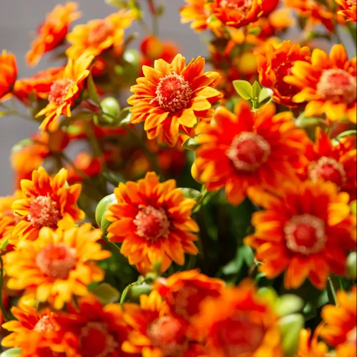🏆Flash Sale⚡Artificial Outdoor Sunset Mums Flowers 🌻- UV resistant, Waterproof, Windproof 💧
