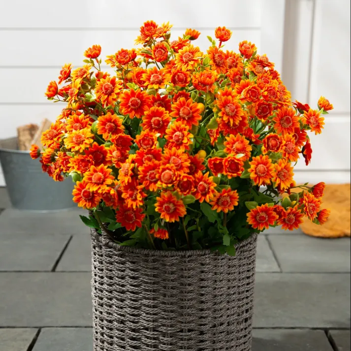 🏆Flash Sale⚡Artificial Outdoor Sunset Mums Flowers 🌻- UV resistant, Waterproof, Windproof 💧