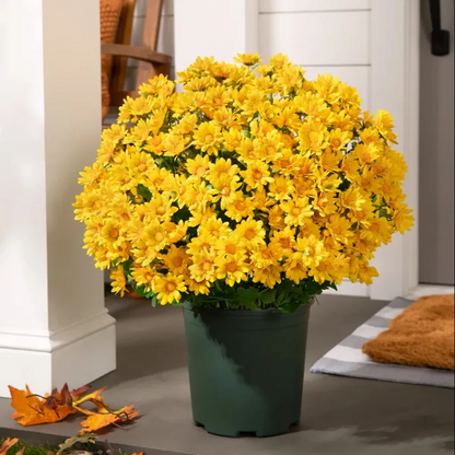 🏆Flash Sale⚡Artificial Outdoor Sunset Mums Flowers 🌻- UV resistant, Waterproof, Windproof 💧