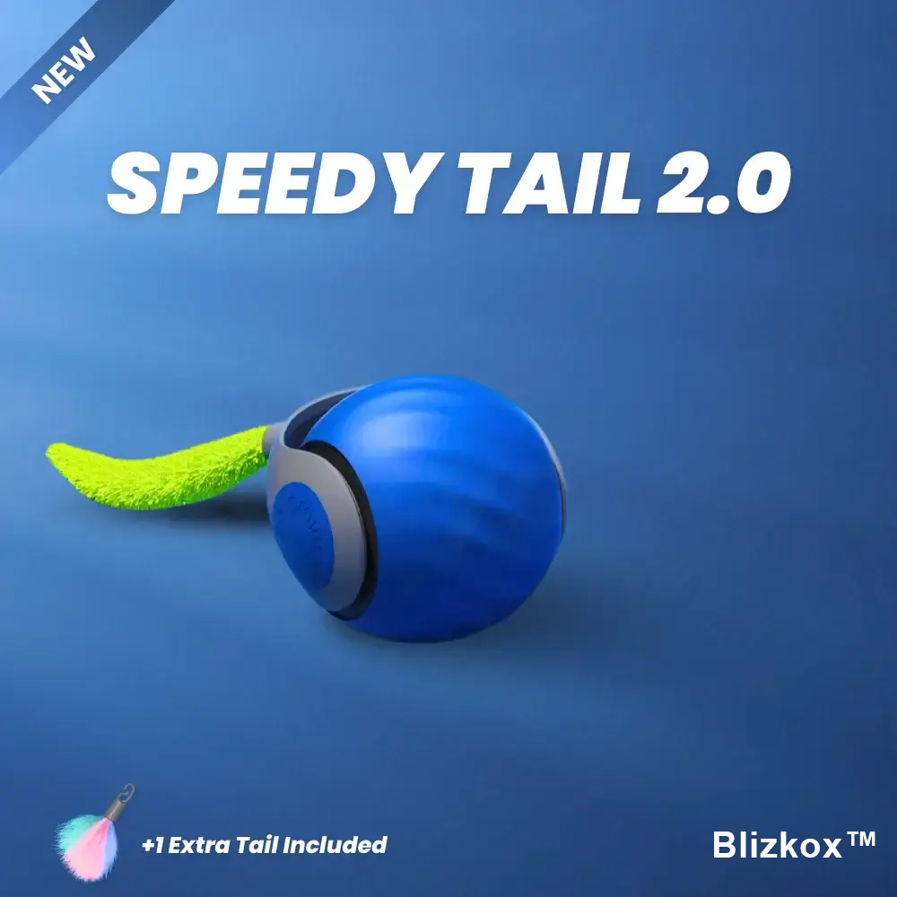 Bored Cat? Not Anymore. Blizkox™ Changes Everything.