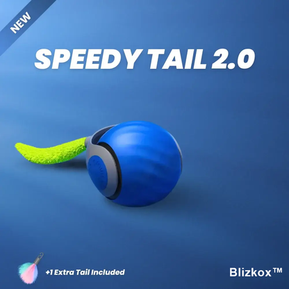 Bored Cat? Not Anymore. Blizkox™ Changes Everything.