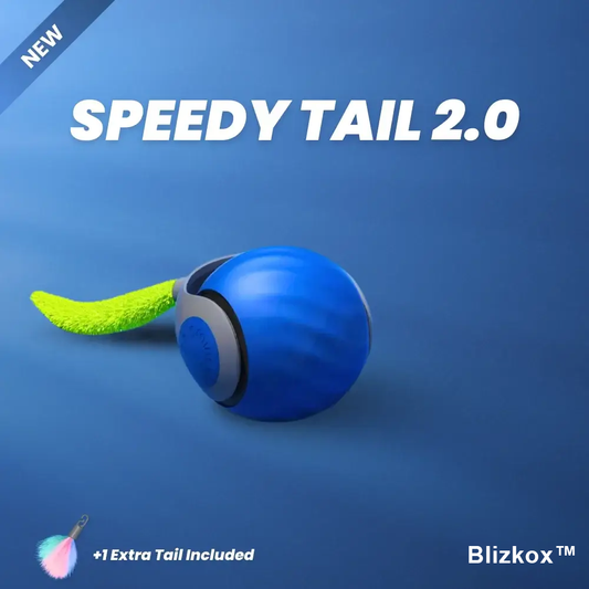 Bored Cat? Not Anymore. Blizkox™ Changes Everything.