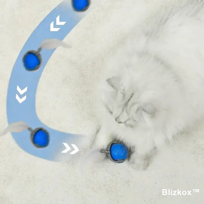Bored Cat? Not Anymore. Blizkox™ Changes Everything.