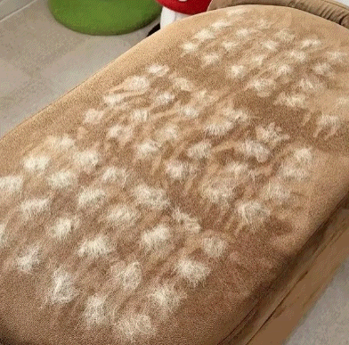 🐾Pet Hair Removal Gloves – Remove Fur in Seconds for a Cleaner Home✨