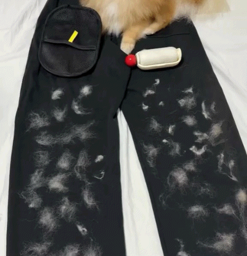 🐾Pet Hair Removal Gloves – Remove Fur in Seconds for a Cleaner Home✨