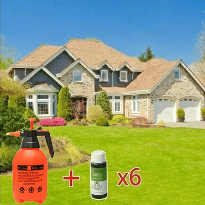 🌱Hydro Seeding Lawn Solution